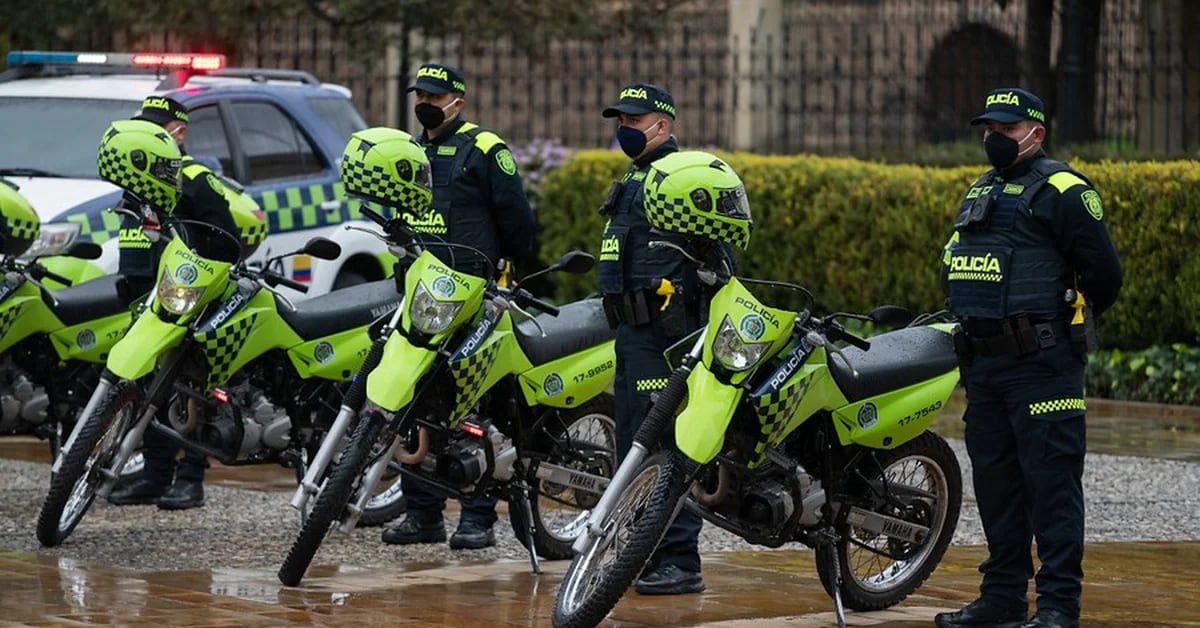 Policía Nacional abrió convocatoria para patrulleros: conozca cómo  vincularse a la institución - Infobae