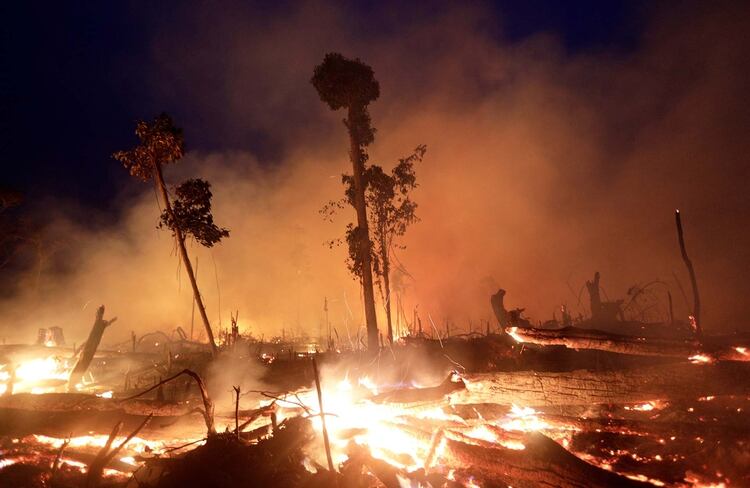 Incendio en el estado de Rondonia, Brazil. (REUTERS/Ricardo Moraes)