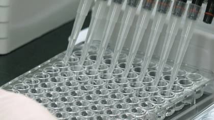 Varios países ya aprobaron los ensayos en humanos vacunas experimentales para combatir el nuevo coronavirus.