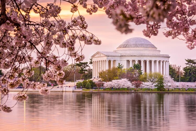 Este año Washington, D.C. acaparará todas las miradas con la celebración del centenario de la 19ª Enmienda, la ley que que concedió el derecho de voto a las mujeres. Museos emblemáticos como la National Portrait Gallery, el National Museum of American History y el National Museum of Women in the Arts ofrecerán exposiciones especiales sobre este gran hito