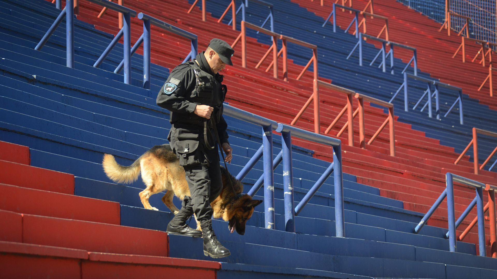 Previo al inicio de cada partido de fútbol, policías y perros recorren las tribunas en busca de explosivos. Foto: Fernando Calzada.