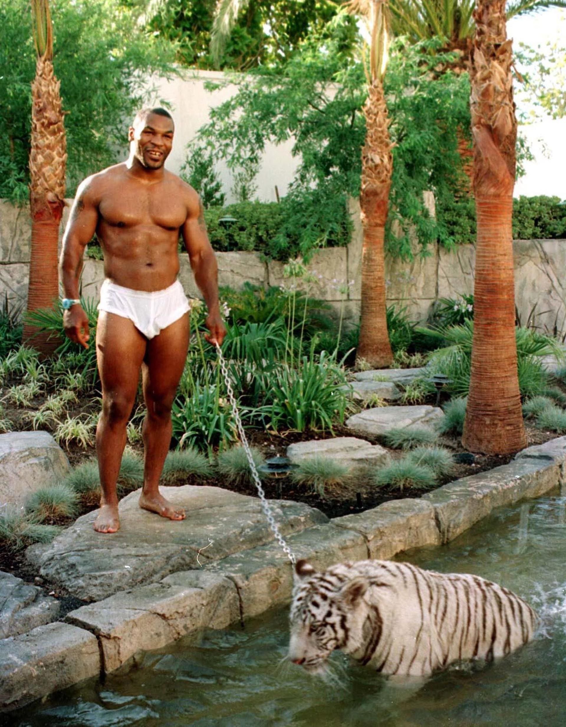 How Did Mike Tyson Buy His Tigers?
