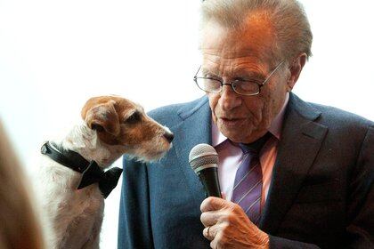 Uggie, el perro de la película "The Artist", "entrevistado" por Larry King (REUTERS/Andrew Kelly)