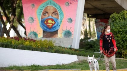 A woman and her dog are pictured in front a mural in honor to health workers as the coronavirus disease (COVID-19) outbreak continues, in Mexico City, Mexico November 7, 2020. REUTERS/Gustavo Graf