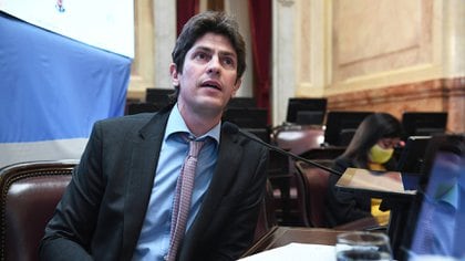 El senador radical Martín Lousteau (Senado) 