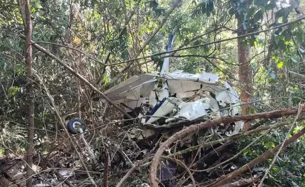 Los restos del avión fueron encontrados en un bosque