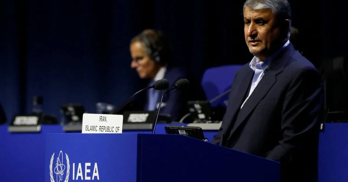 Iranian Foreign Minister Says IAEA Officials Will Visit Tehran