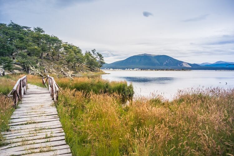 El lago Fagnano se encuentra a 100 kilómetros de Ushuaia, capital de Tierra del Fuego, y en cercanías de Tolhuin, un pequeño pueblo de la isla (Shutterstock)