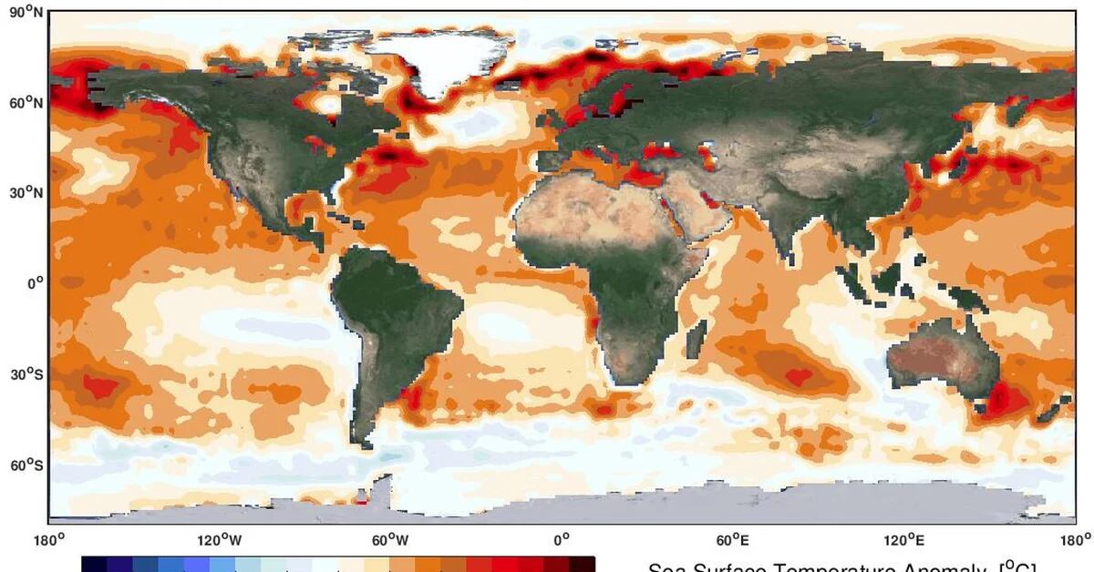 Global warming is harming marine parasites and the ocean ecosystem