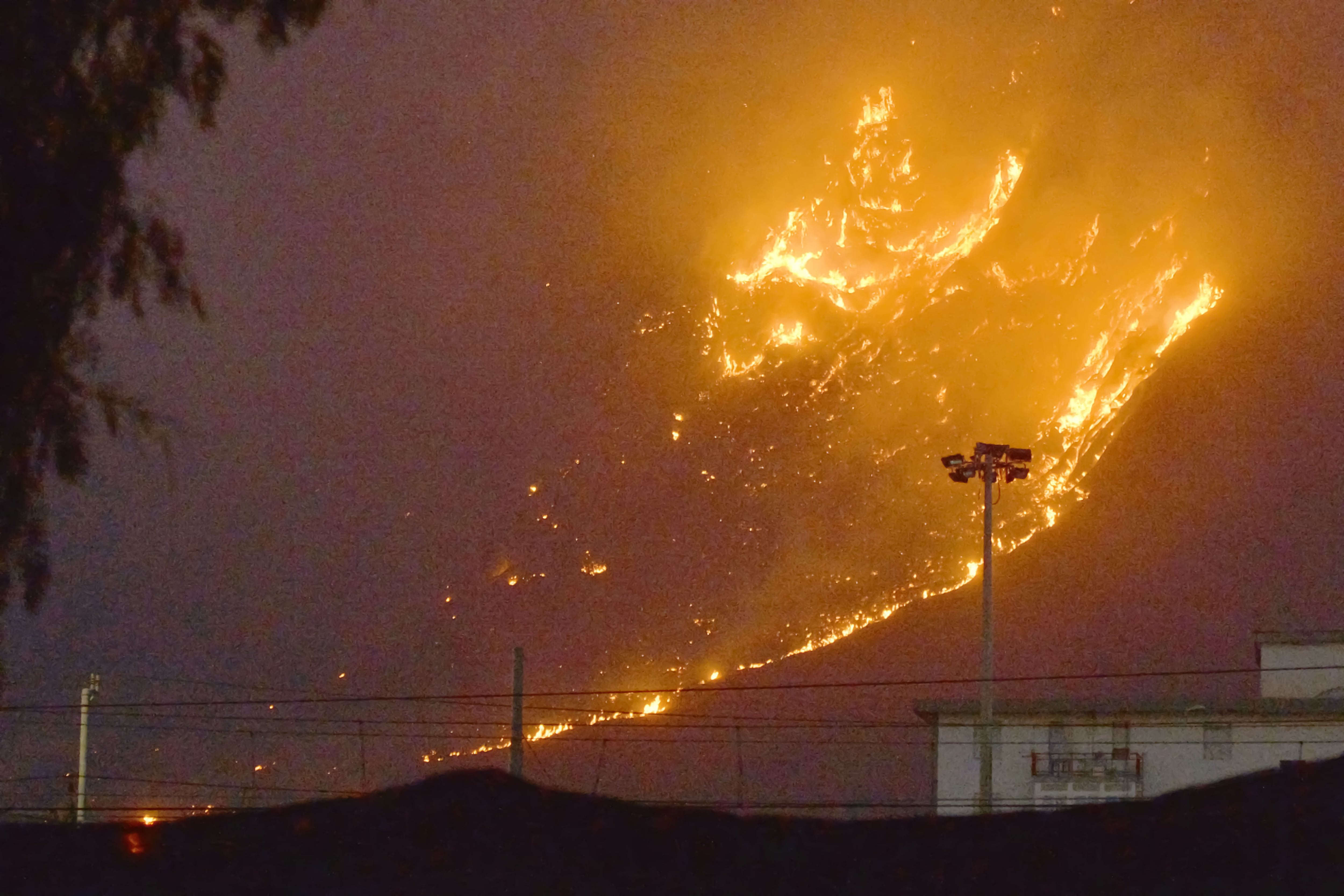 El fuego envuelve las colinas de la zona de Monte Grifone y la localidad de Ciaculli, en los alrededores de Palermo (ANSA / AFP) 