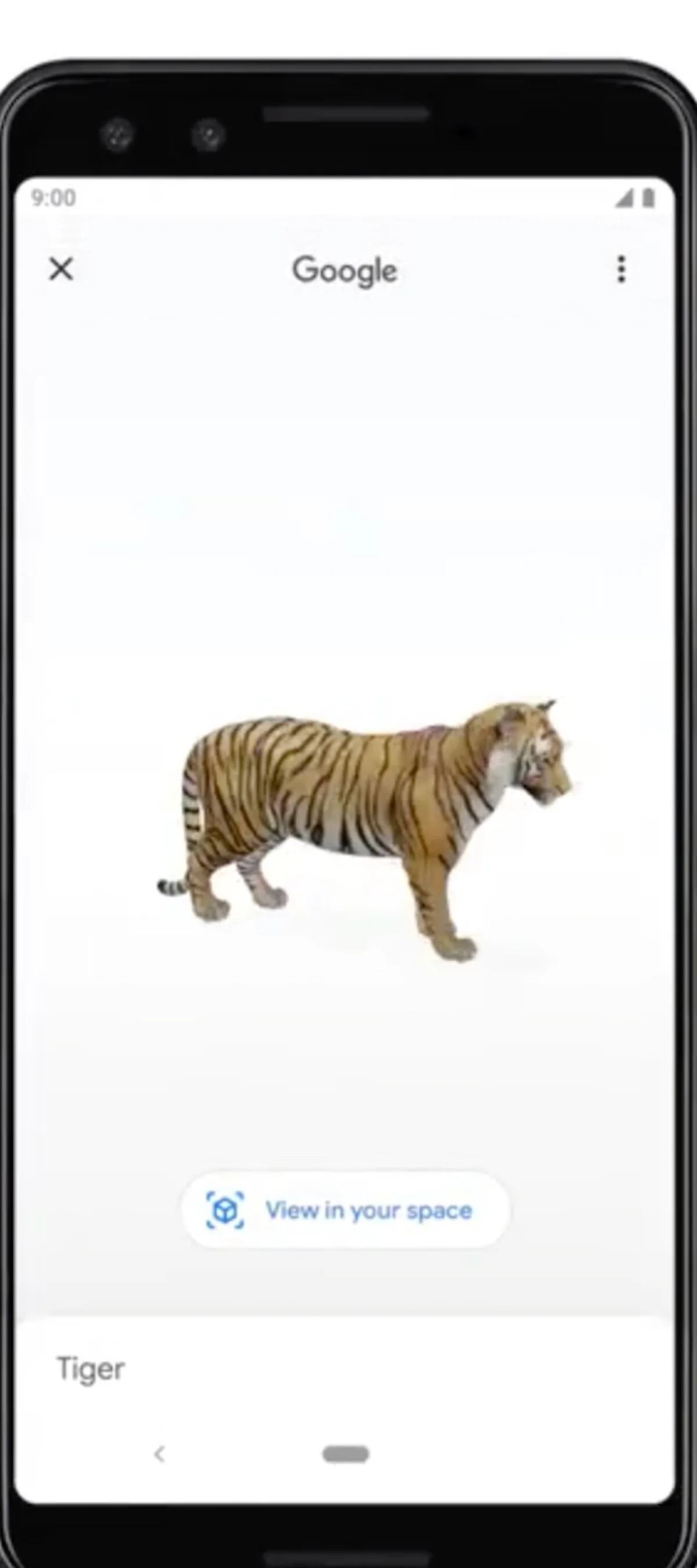 Así puedes ver animales 3D desde el buscador de Google