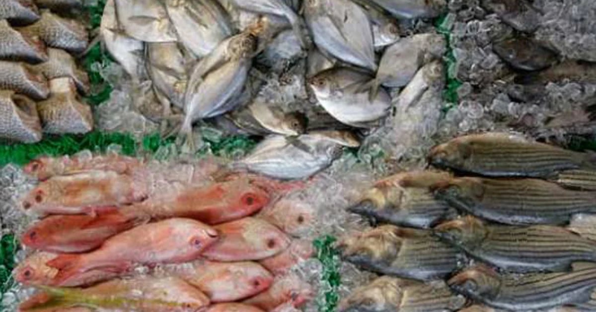 They ban the consumption of shad because it is contaminated with record levels of pesticides