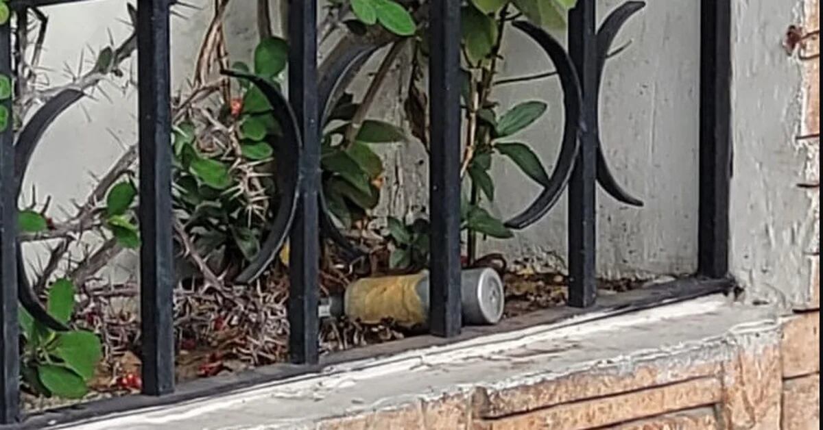 They found a war grenade in a flowerbed in Villa Devoto
