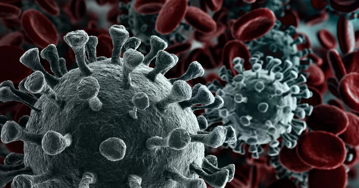 Avviso coronavirus: il CDC avverte che una nuova variante si sta diffondendo ad alta velocità negli Stati Uniti