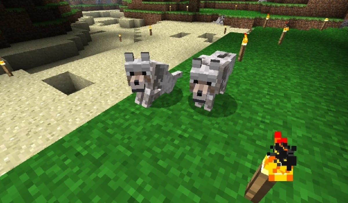 Los lobos pueden estar en uno de los siguientes estados: silvestre, hostil o domesticado. (Minecraft)