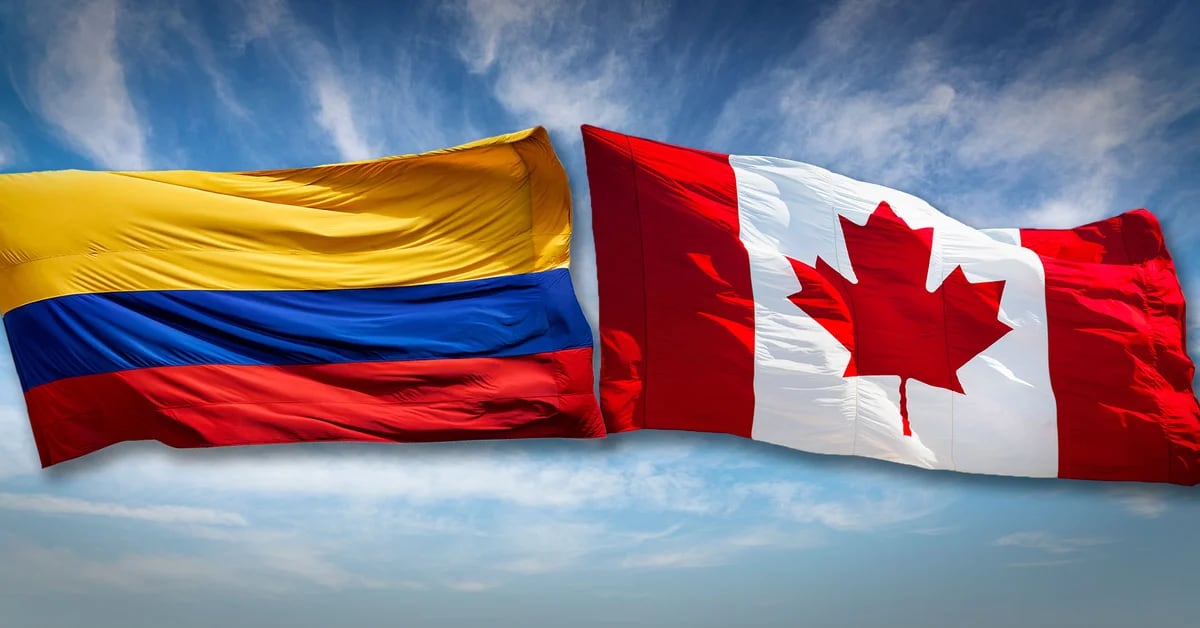 80 job offers for Colombians in Canada: know the profiles you are looking for