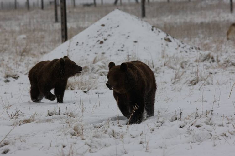 Por primera vez, los pies lejos del caliente cemento. (Secretaría de Ambiente y Ordenamiento Territorial)