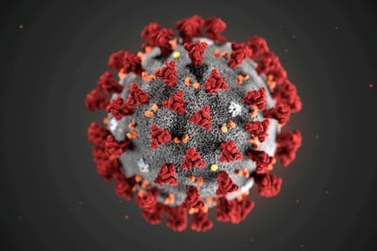 Ilustración, creada en los CDC, del nuevo coronavirus COVID-19 (Alissa Eckert, MS; Dan Higgins, MAM/CDC/Entregada vía REUTERS)