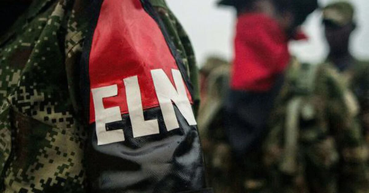 The ELN is planning attacks in different cities: the authorities have had indications of them since 2022