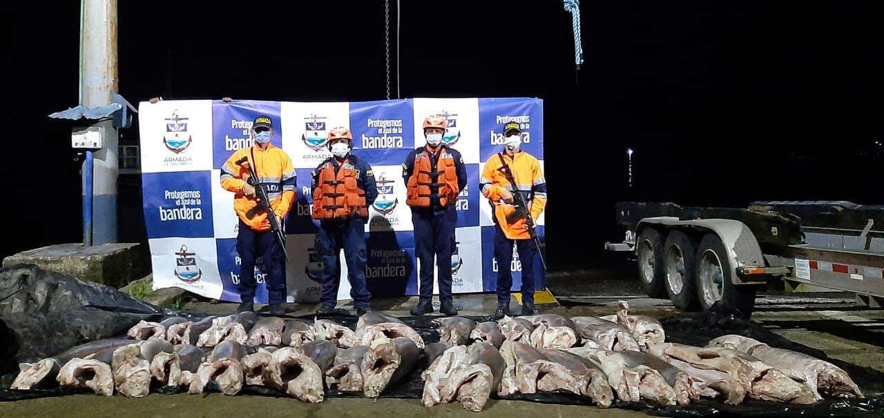 Armada incauta 900 kilos de tiburón