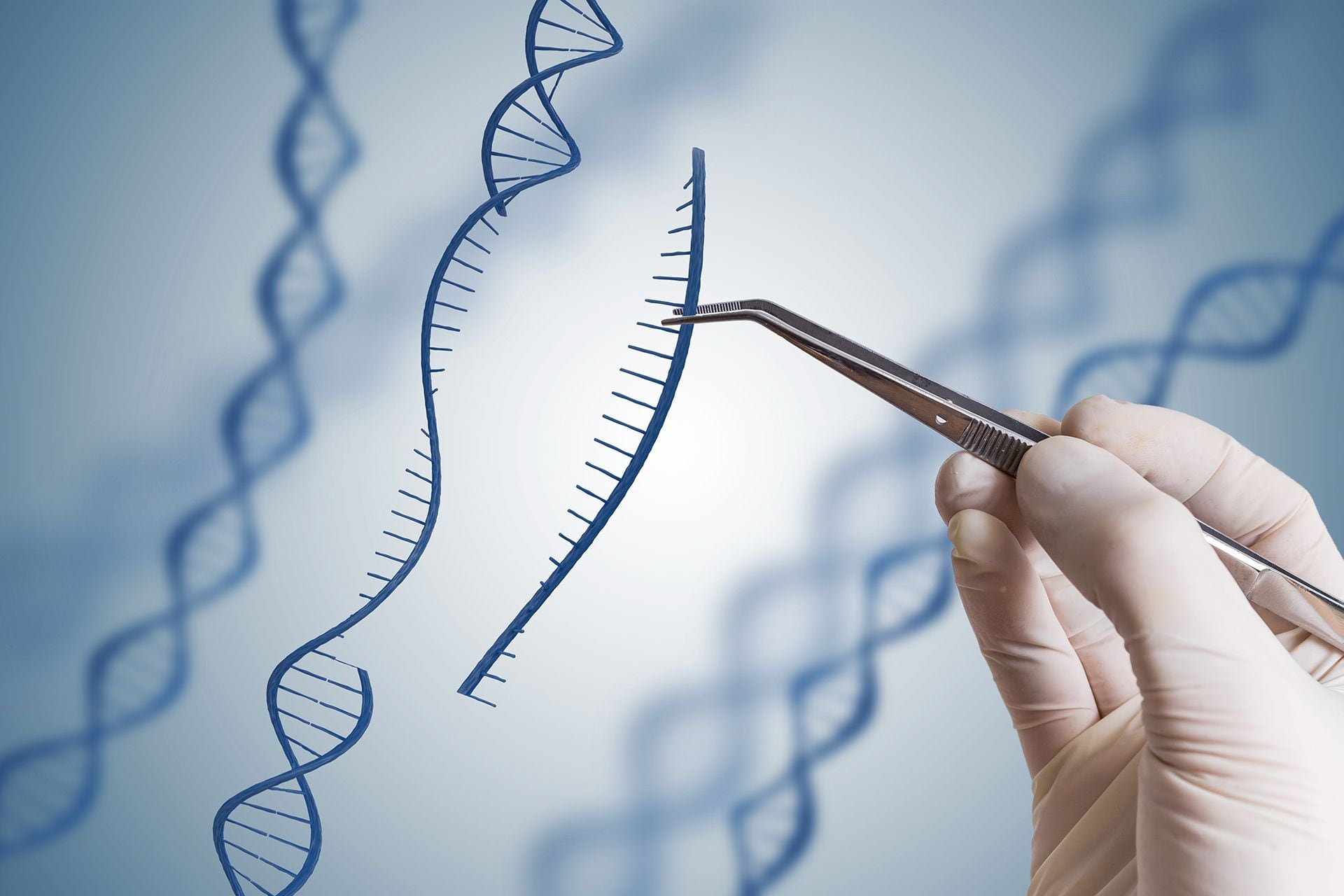Esta tecnología permite modificar el ADN de cualquier organismo con una facilidad y una eficiencia sin precedentes.