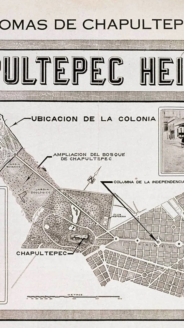 La distinguida colonia Lomas de Chapultepec