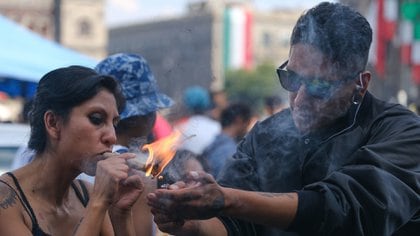 La SCJN allanó el camino para la eventual legalización de la marihuana (Foto: Cuartoscuro)