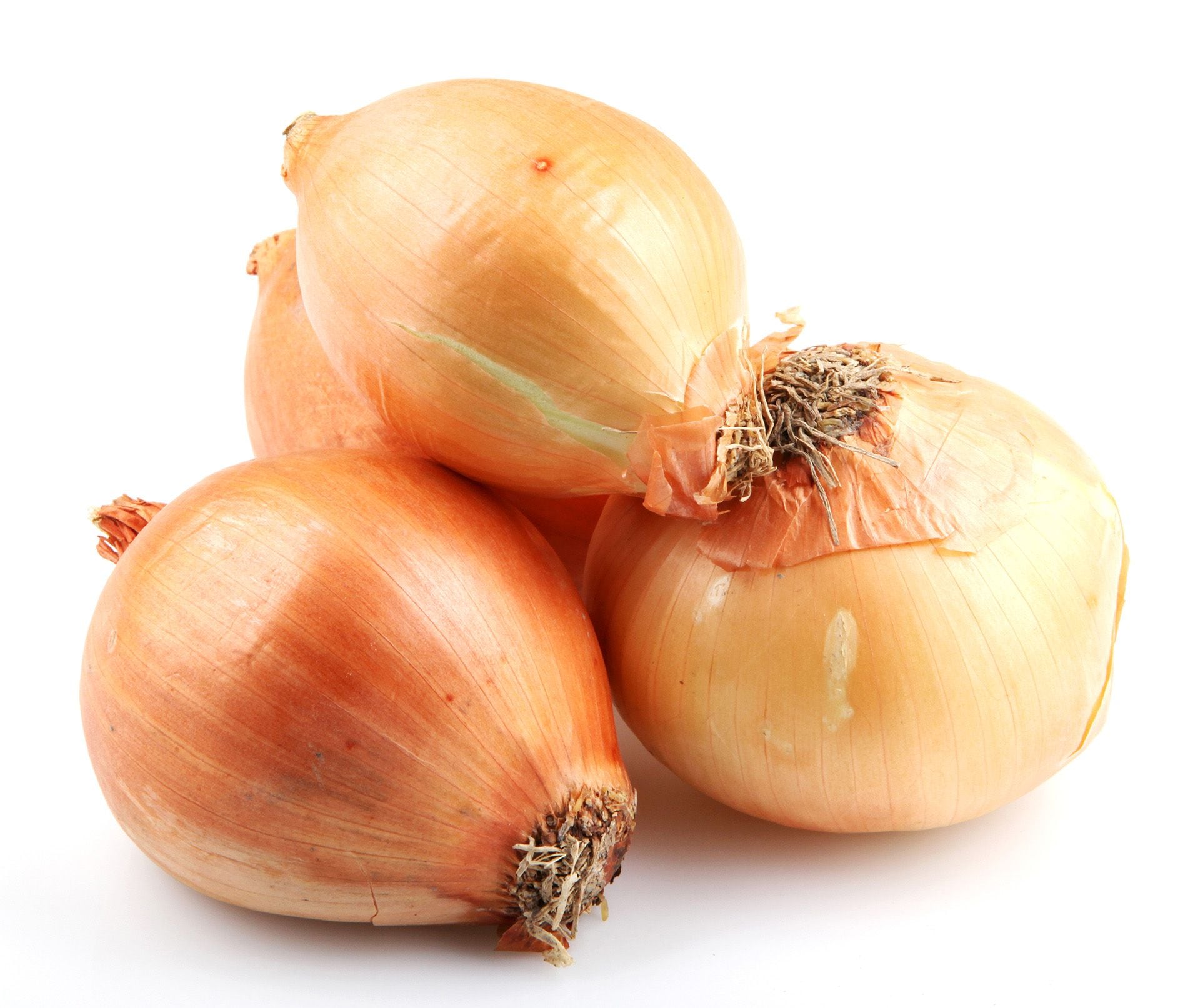 La cebolla aporta prebióticos a la flora intestinal (Getty) 

