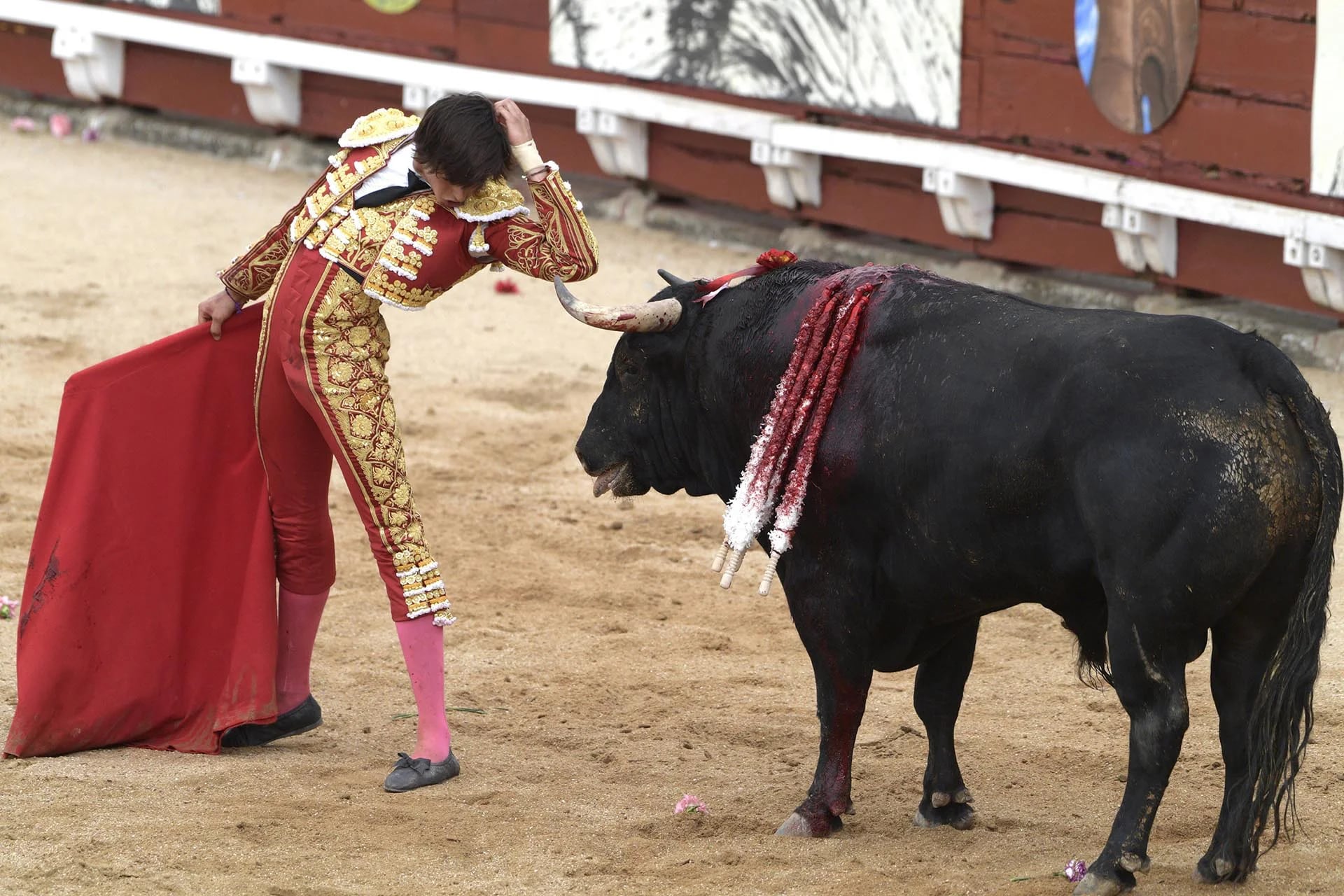 El diestro peruano Andrés Roca Rey entra a matar a un toro durante el tradicional festejo del Corpus Christi en Toledo
