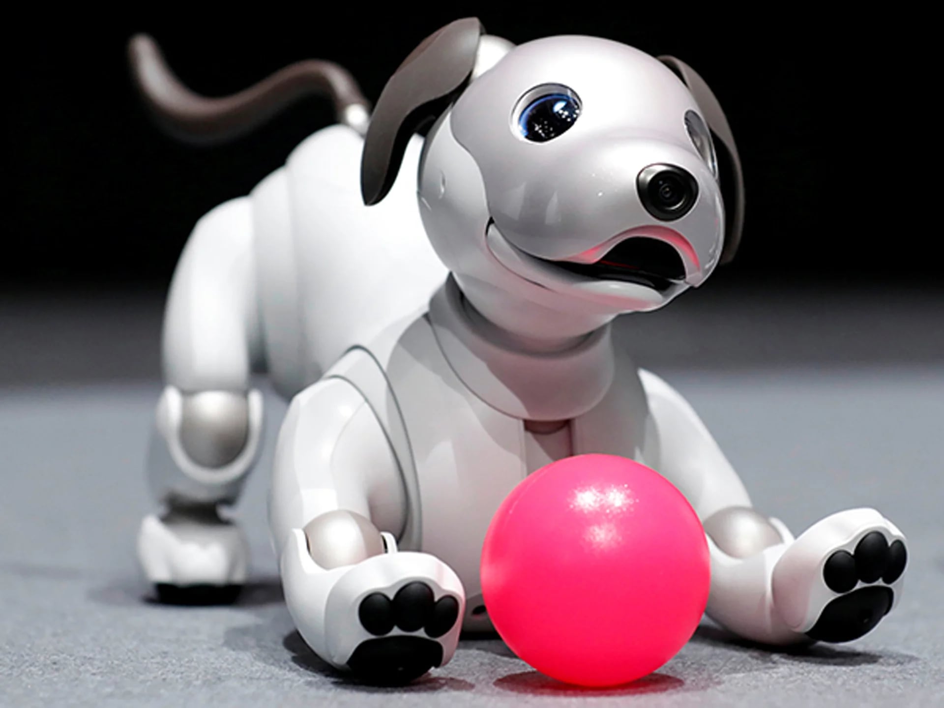 Aibo corresponde a la última generación de perros robots de la compañía. El primer ejemplar fue presentado al mercado en 1999 (Sony)