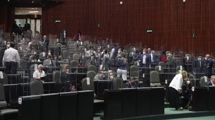 El bloque opositor votó en contra de la extinción de los fideicomisos y el PT rompió su alianza con Morena en este tema (Foto: Cuartoscuro)