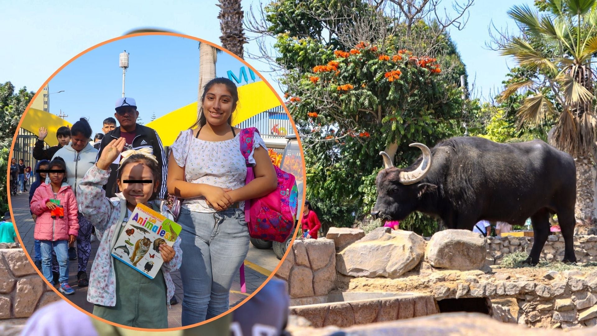 Las familias disfrutarán este domingo 12 de mayo, Día de la Madre, al interior del Parque de las Leyendas con la visita a los animales y las diversas actividades programadas.