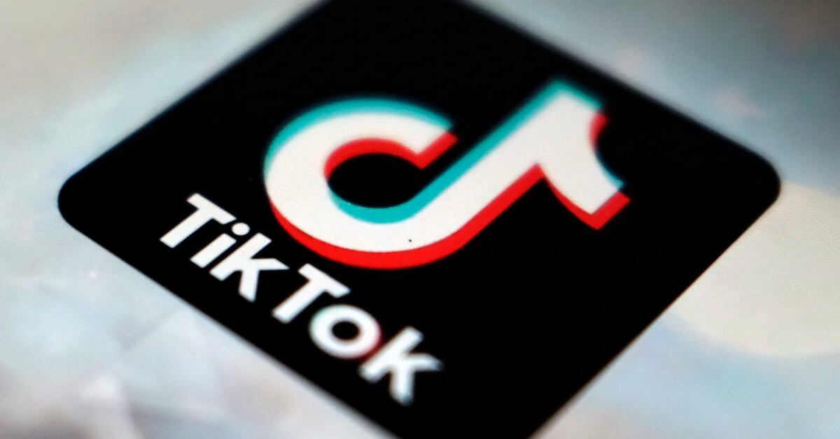 Belgium bans TikTok on mobile phones for official use