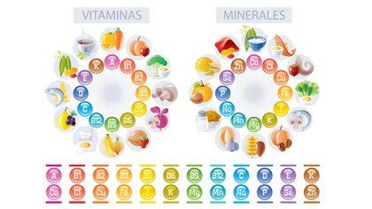 Vitaminas, minerales y a qué alimentos se incorporan (Foto: Shutterstock)