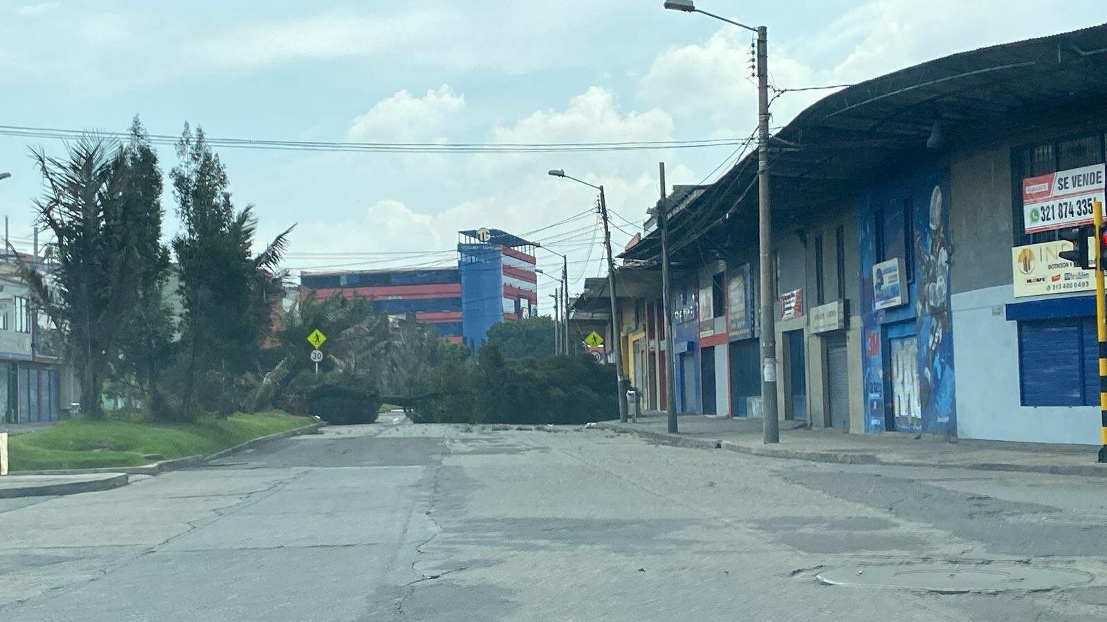 Autoridades reportaron la caida de un árbol en el sector de Paloquemao, en Bogotá - crédito @BogotaTransito/X
