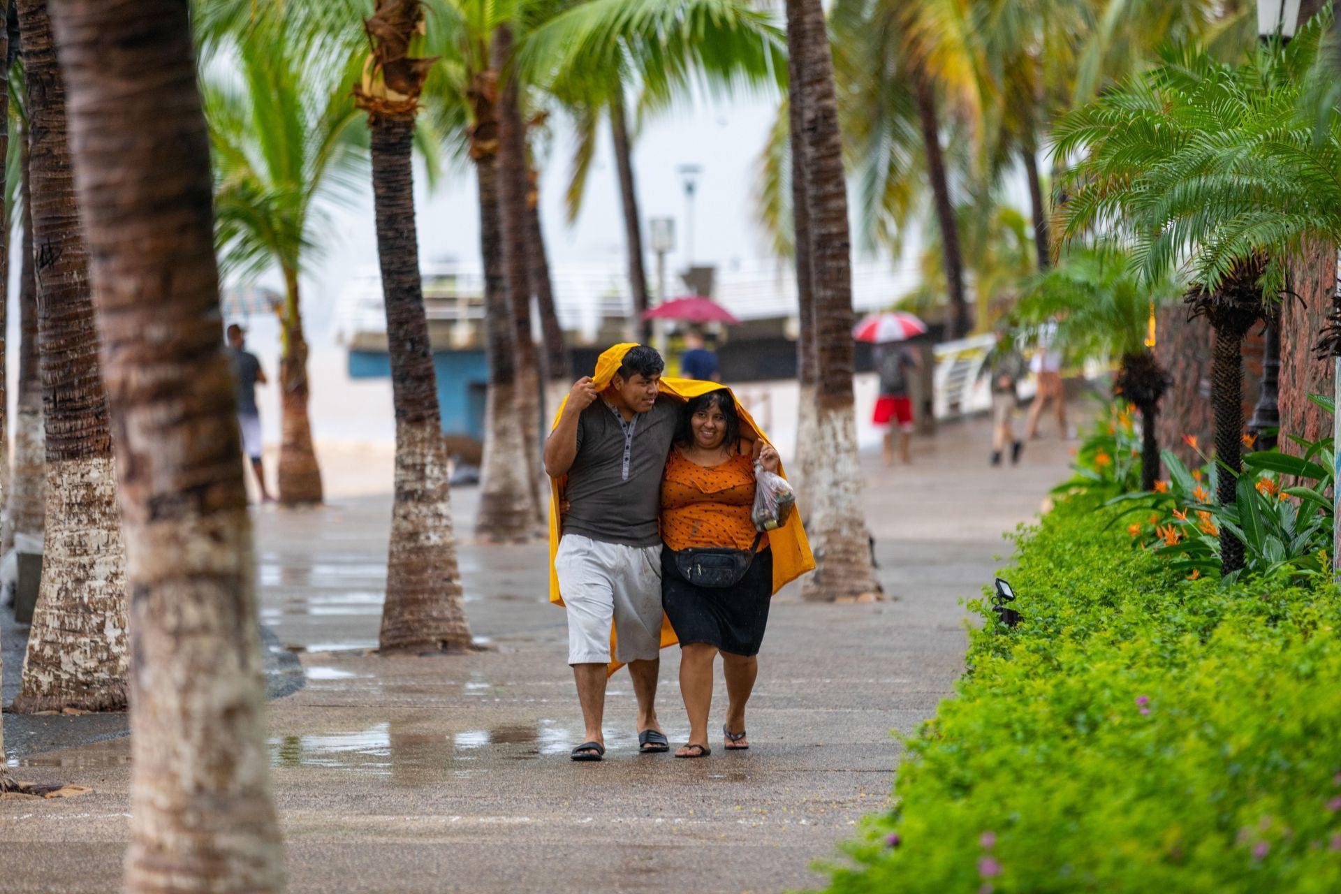 El clima de Puerto Vallarta lo hace uno de los lugares turísticos más importantes de México. (Cuartoscuro)