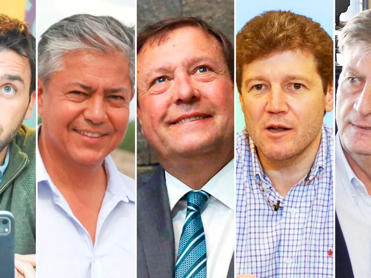 Los gobernadores patagónicos se reunieron para definir su postura sobre la privatización de las empresas públicas