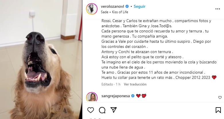 Vero Lozano expresó su dolor por la muerte de su perro Chopper (Instagram)