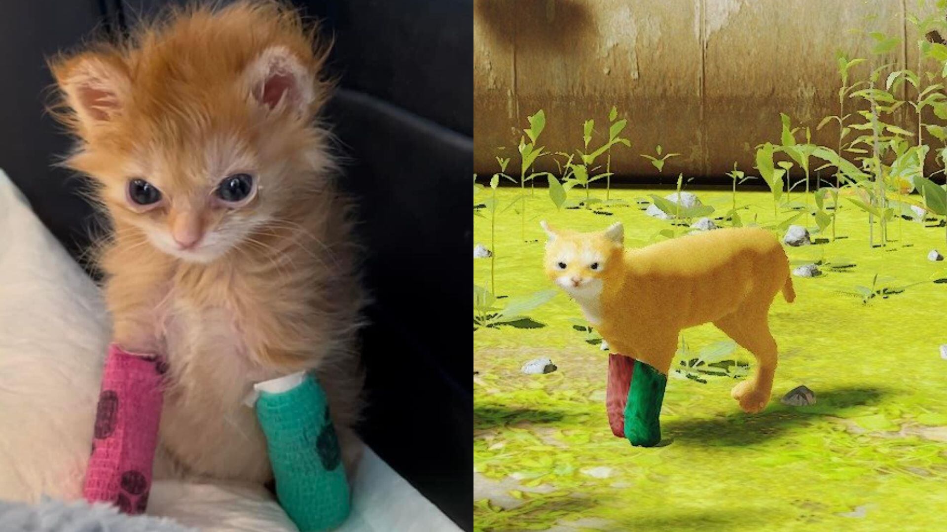 Una usuaria de internet mandó a hacer un mod para el videojuego de Stray y que las personas pudieran jugar con el personaje de Tater Tot (Facebook Tater Tot and Spudbuds)