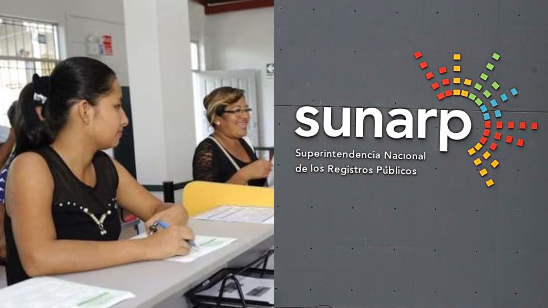 Sunarp: ¿Cómo ver gratis una partida registral y qué significan los datos  registrados? - Infobae