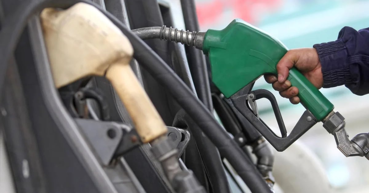 Fuels: the government will reinstate an incentive scheme for internal supply