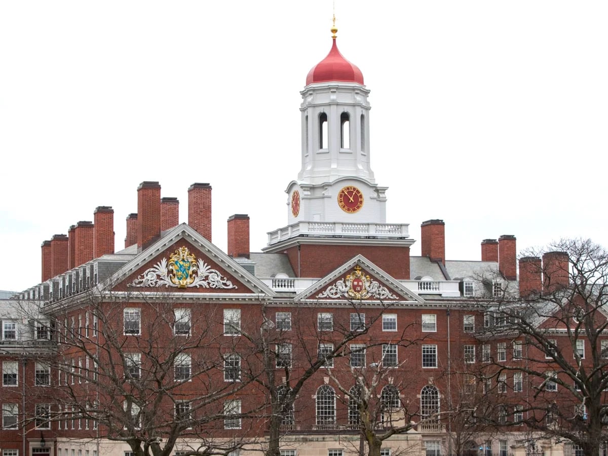 Cuánto cuesta estudiar en la Universidad de Harvard y cuáles son los  requisitos para ingresar - Infobae