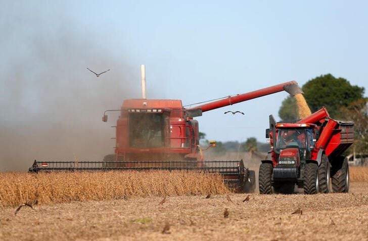Argentina podría producir unas 48 millones de toneladas del grano, frente a la desastrosa cosecha de 20 millones del ciclo anterior. (REUTERS/Agustin Marcarian)
