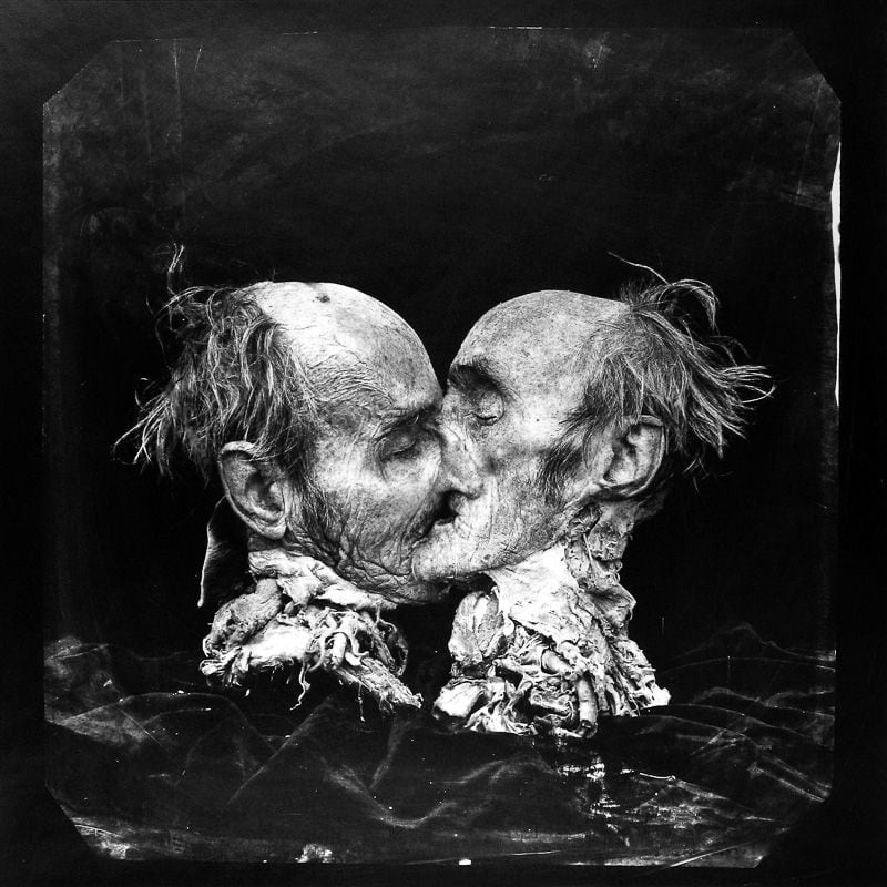 En “The Kiss”, usó una cabeza decapitada que fue cortada por la mitad en una morgue, y luego fue invertida para dar la apariencia de dos hombres que se besan.