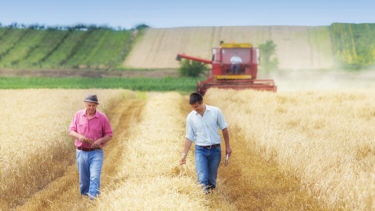 Las tareas de cosecha y siembra son impostergables, y productores y asesores siguen estrictos protocolos para mantener a salvo a los equipos de trabajo