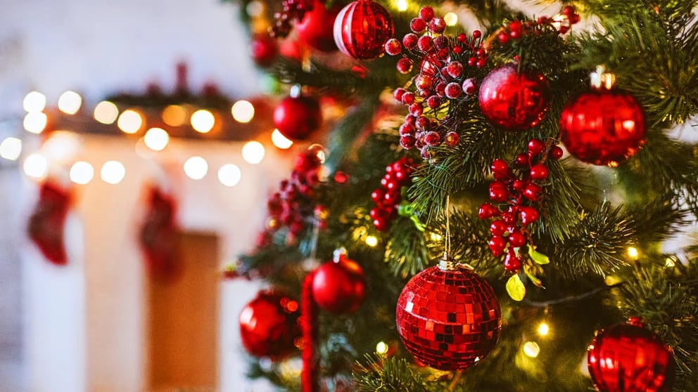 Arbolito de Navidad: cuánto cuesta armarlo y decorarlo para estas fiestas -  Infobae