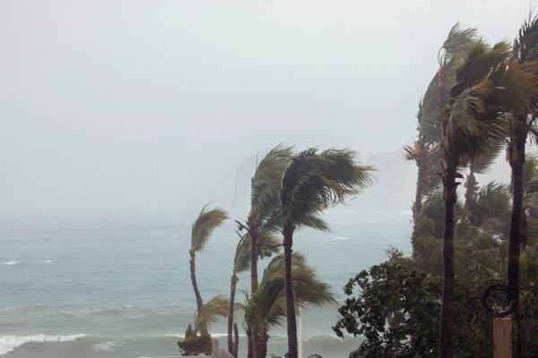 Palmeras arrasadas por el viento en Los Cabos, Baja California Sur, Mexico (REUTERS/Fernando Castillo)