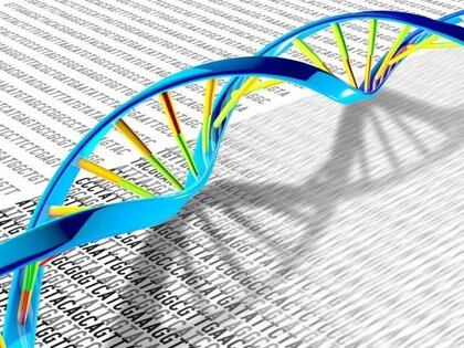 Semple dijo: "el coronavirus mutado que se propaga rápidamente en el Reino Unido probablemente se convertirá en la cepa global dominante" (NIH - Europa Press)