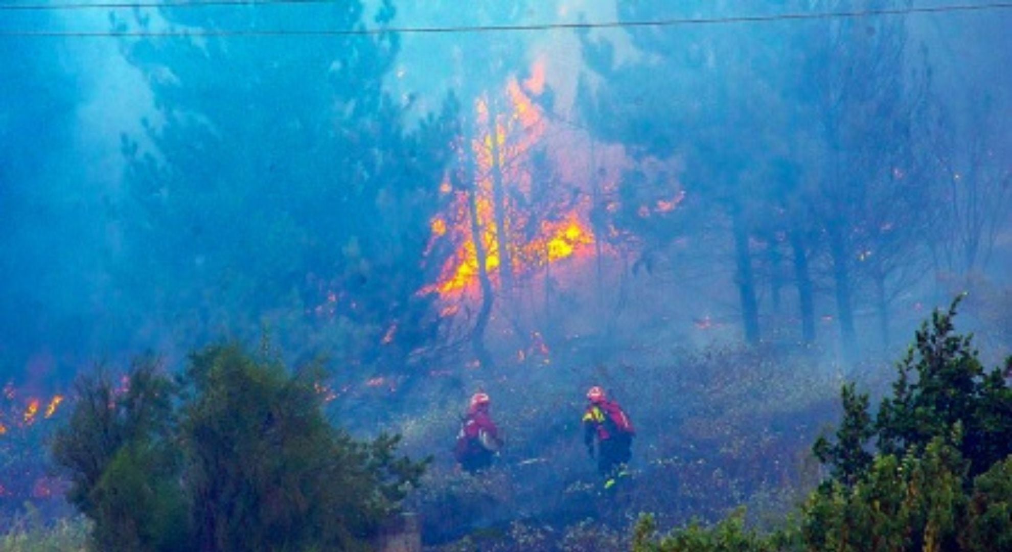 incendio forestal en el Parque Nacional Los Alerces de Chubut
