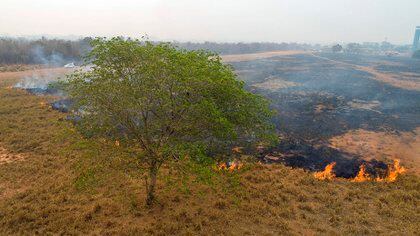 De acuerdo con el INPE, la deforestación acumulada en los diez primeros meses de 2020 llegó a 7.899 kilómetros cuadrados, con una caída del 6 % frente al período entre enero y octubre de 2019 (8.425 kilómetros cuadrados). EFE/Rogerio Florentino/Archivo
